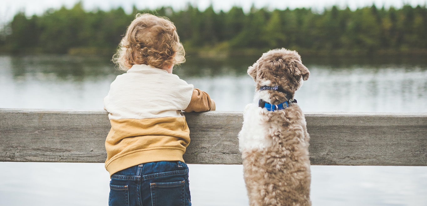 A picture of a child with dog, consistency in raising children is key